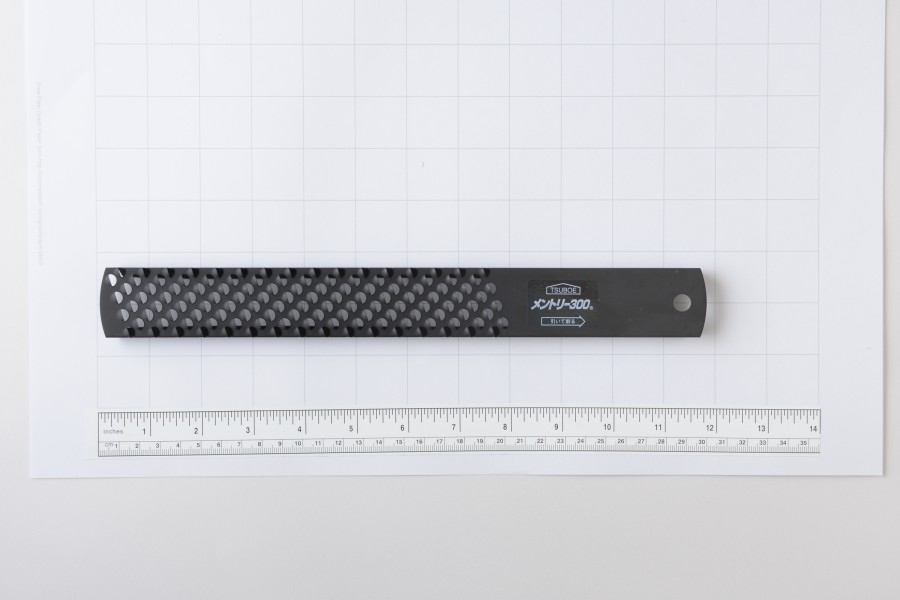 メントリ３００