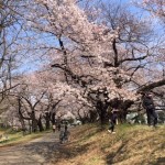 ブログ写真 IMG_0579